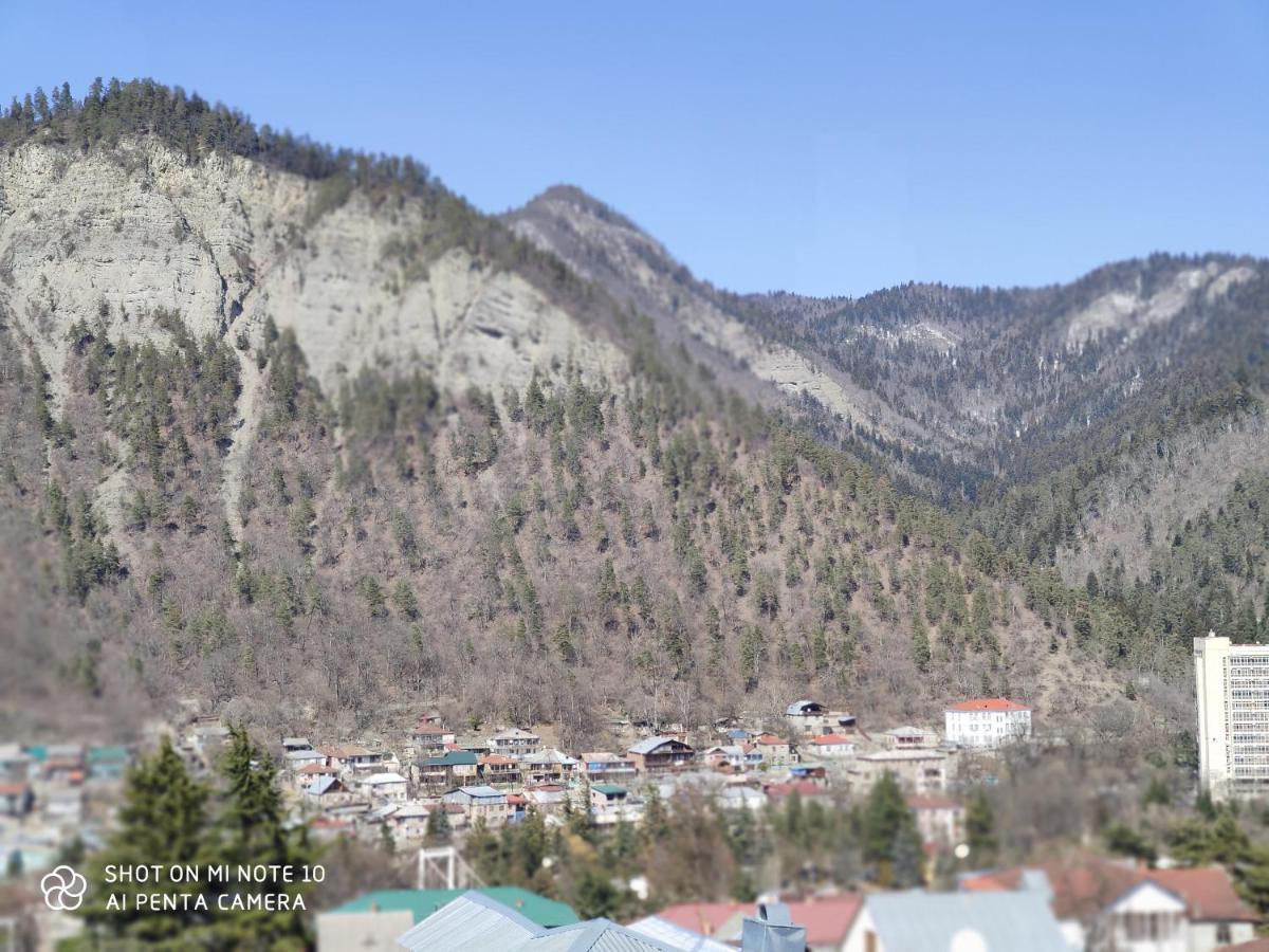 Отель Borjomi Sichi Экстерьер фото