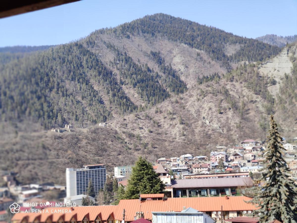 Отель Borjomi Sichi Экстерьер фото